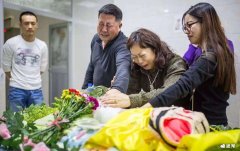 宠物死了埋哪里？