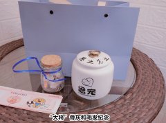 火化一只宠物的成本有多少？