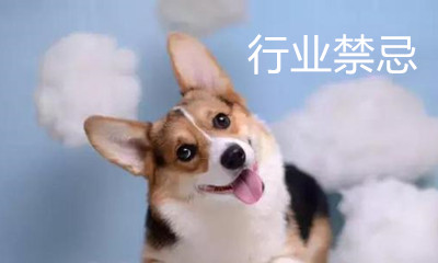 宠物火化殡葬行业有哪些禁忌？