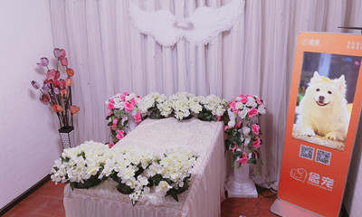 宠物火化殡葬善终行业生意如何？